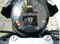 TRIUMPH TRIDENT 2024/10 - 6
