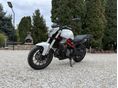 BENELLI BN 302 2018/8 - 2