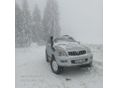 TOYOTA LAND CRUISER 2002/7 - 6