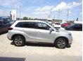 SUZUKI VITARA 2020/8 - 4