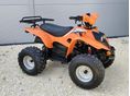 CPI CARB 100 2006 - 13