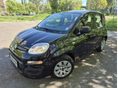 FIAT PANDA 2016/12 - 3