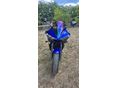 YAMAHA YZF R6 2003/2 - 2