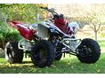 YAMAHA YFM 700 2011/8 - 2