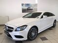 MERCEDES-BENZ CLS 250 BlueTEC d 4Matic (Automata) AMG Line!LED!Navi!Tempomat!Friss műszaki!Friss szervíz!Kitűnő állapot!