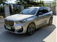 BMW X1 xDrive30e xLine DKG