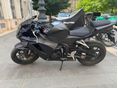 HONDA CBR 600 RR 2024 - 2