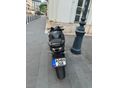 HONDA CBR 600 RR 2024 - 5