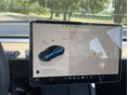 TESLA MODEL 3 2022/10 - 8