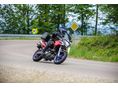 APRILIA PEGASO 2006 - 6