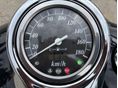 SUZUKI VL 800 (INTRUDER) 2003/6 - 7