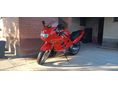 SUZUKI GSX 600 F 2000/2 - 4