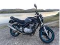 KAWASAKI ER-5 2005/12 - 3