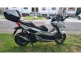 HONDA FORZA 300 2019/5 - 3