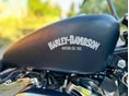 HARLEY-DAVIDSON SPORTSTER 1200 CUSTOM 2001/1 - 11