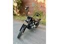 HARLEY-DAVIDSON SPORTSTER 1200 CUSTOM 2001/1 - 5