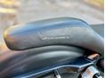 HARLEY-DAVIDSON SPORTSTER 1200 CUSTOM 2001/1 - 12