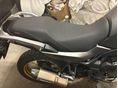 HONDA XL 750 2023/5 - 7