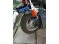 HONDA CMX 250 C 1996/12 - 5