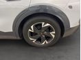 CUPRA TAVASCAN 2025/6 - 11