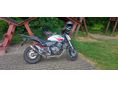 HONDA CB 600 F (HORNET) 2010/2 - 4