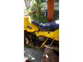 SUZUKI RM 250 1983 - 3