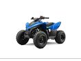 CFMOTO CFORCE 110 Gyerek Quad