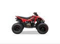 CFMOTO CFORCE 110 2026/7 - 4