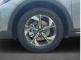 KIA XCEED 2026 - 10