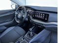 SKODA OCTAVIA 2020/8 - 18