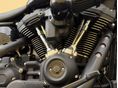 HARLEY-DAVIDSON LOW RIDER S 2022/3 - 9