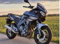 YAMAHA TDM 900 2006/3 - 4