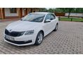 SKODA OCTAVIA 1.6 CR TDI Style DSG