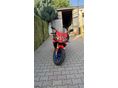 APRILIA RS 50 2008 - 7