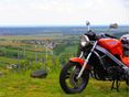 HONDA NTV 650 1993/7 - 3