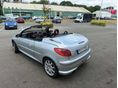 PEUGEOT 206 2005 - 6