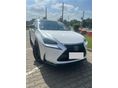 LEXUS NX 300h F-Sport CVT