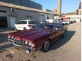 FORD THUNDERBIRD 1972/3 - 4