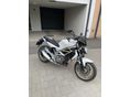 SUZUKI SFV 