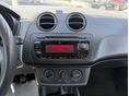 SEAT IBIZA 2009/3 - 11