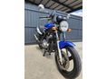 SUZUKI GS 500 E 2007/5 - 12