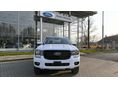 FORD RANGER 2026 - 2