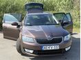 SKODA OCTAVIA 1.6 CR TDI Greenline