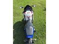 HONDA CBR 1000 RR 2008 - 2