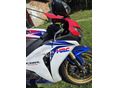 HONDA CBR 1000 RR 2008 - 5
