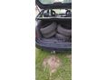 CITROEN XSARA PICASSO 2004 - 10