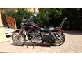 HARLEY-DAVIDSON XL 2013/4 - 3