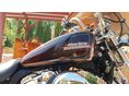 HARLEY-DAVIDSON XL 2013/4 - 7