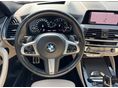 BMW X4 2021/1 - 30