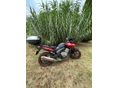 HONDA CBF 600 